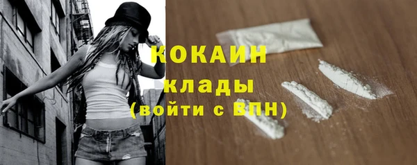 бошки Белокуриха