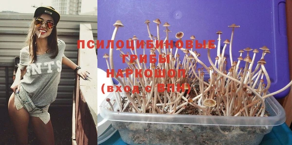 MDMA Беломорск